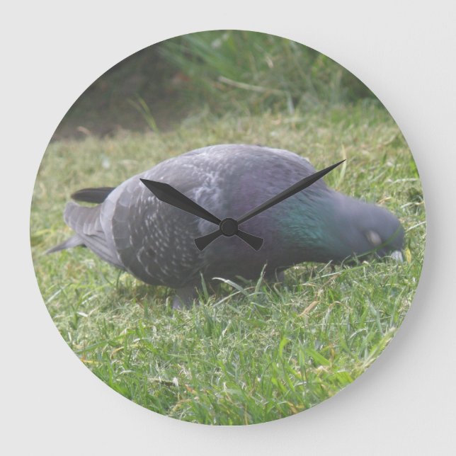 Sleeping Pigeon Wall Clock (Front)