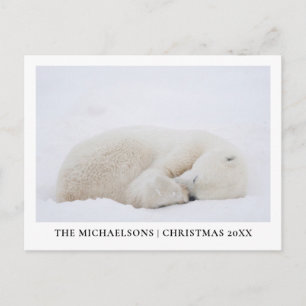 Sleeping Polar Bear Holiday Postcard