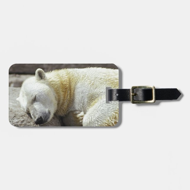 Sleeping Polar Bear Luggage Tag (Front Horizontal)