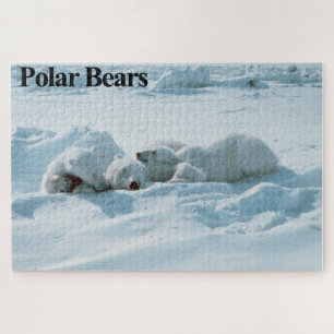Sleeping Polar Bears Jigsaw Puzzle
