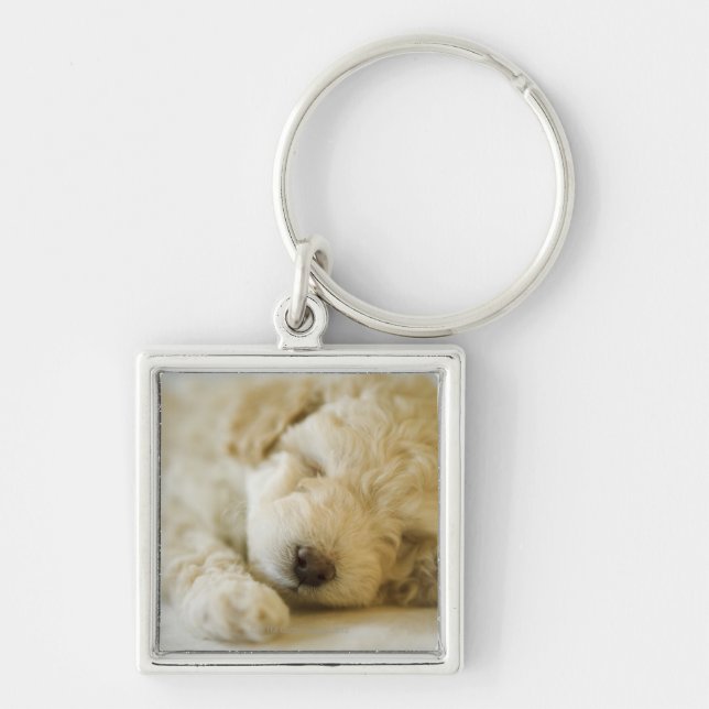 Sleeping Poodle puppy 2 Key Ring (Front)
