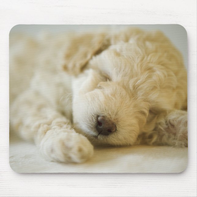 Sleeping Poodle puppy 2 Mouse Pad (Front)