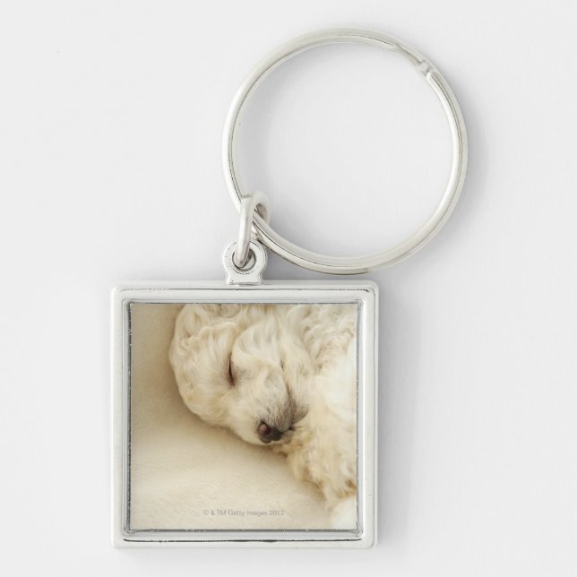 Sleeping Poodle puppy Key Ring (Front)