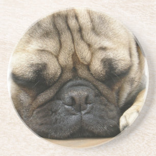 Sleeping Pug Coasters