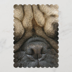 Sleeping Pug Invitation