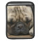 Sleeping Pug iPad Sleeve