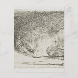 Sleeping puppy by Rembrandt Postcard