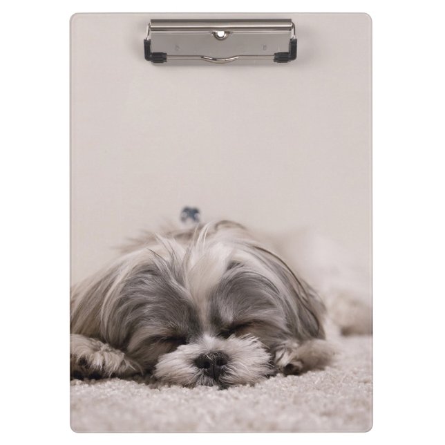 Sleeping Puppy Clipboard (Front)