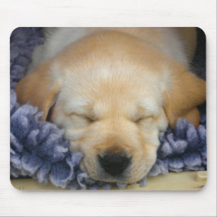 Sleeping Puppy Mouse Pad