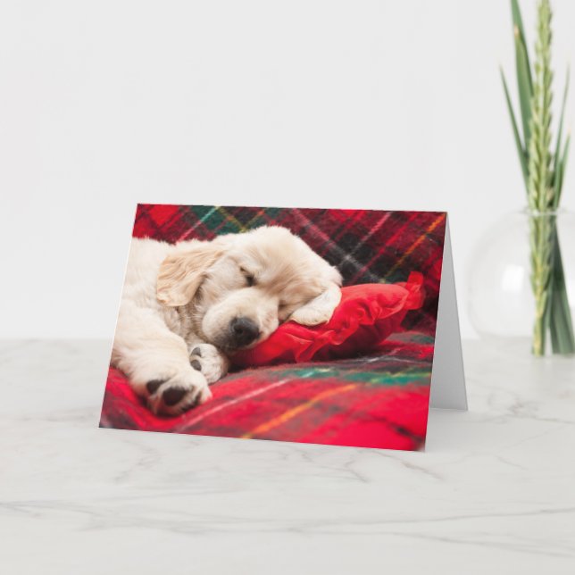Sleeping Puppy On Plaid Holiday Card (Front)