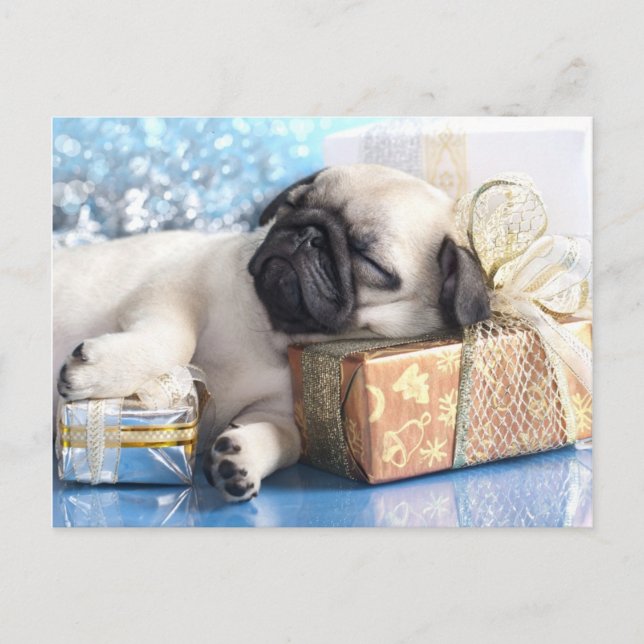 Sleeping  puppy pug and Christmas gifts Holiday Postcard (Front)
