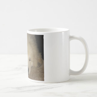 Sleeping Pyr Coffee Mug