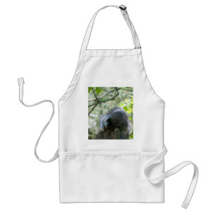 Sleeping Racoon Aprons