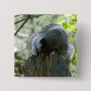 Sleeping Racoon Pin