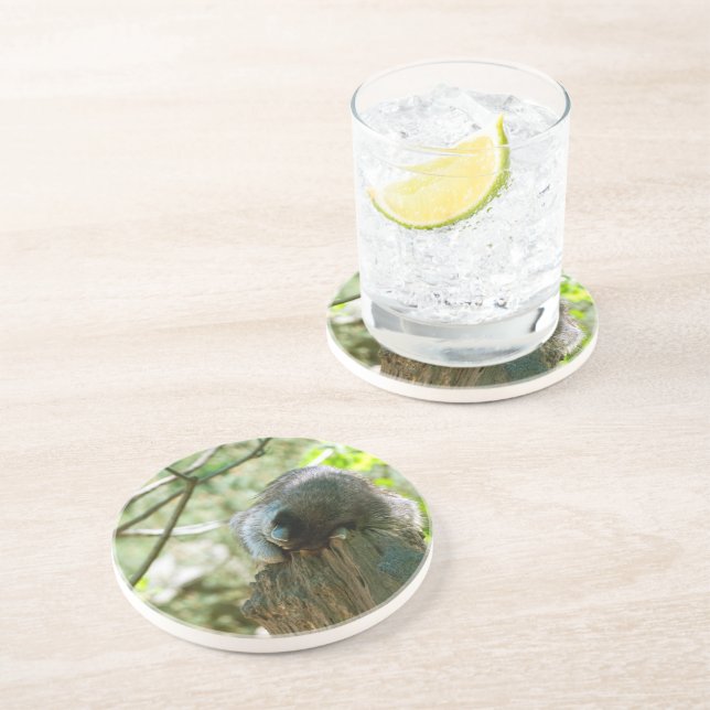 Sleeping Racoon Stickers Coaster (Side)