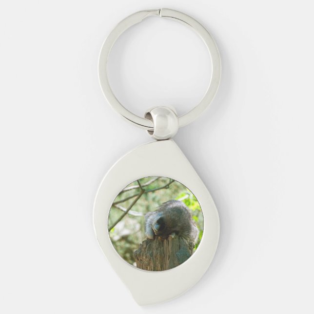 Sleeping Racoon Stickers Key Ring (Front)