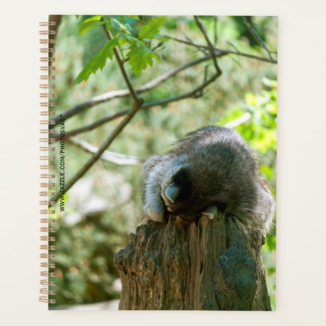 Sleeping Racoon Stickers Planner (Front)