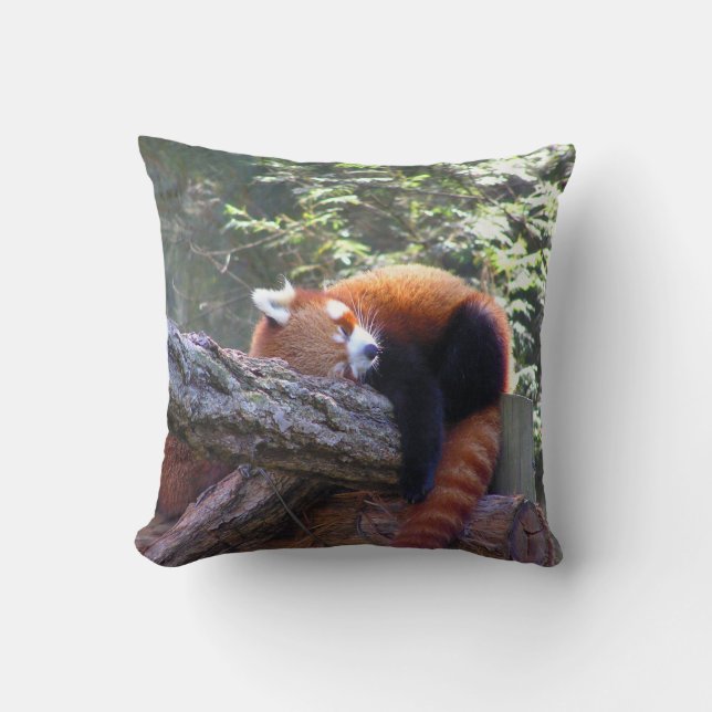 Sleeping Red Panda Cushion (Front)