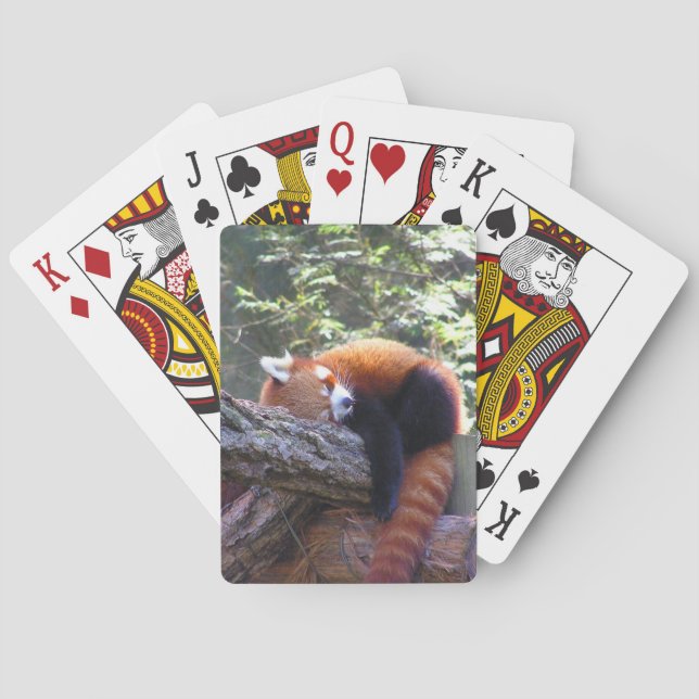 Sleeping Red Panda Playing Cards (Back)