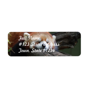Sleeping Red Panda  Return Address Mailing Label