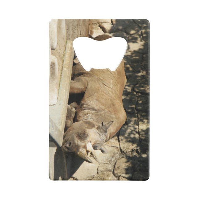 Sleeping Rhino (Front)