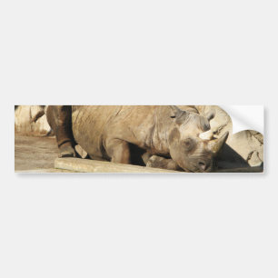 Sleeping Rhino Bumper Sticker