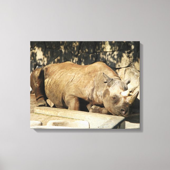 Sleeping Rhino Canvas Print (Front)