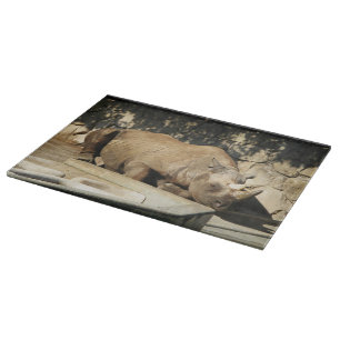 Sleeping Rhino Cutting Board