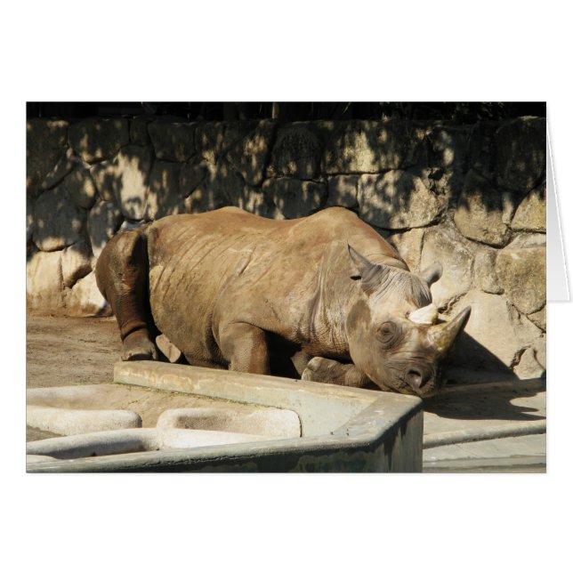 Sleeping Rhino Greeting Card (Front Horizontal)