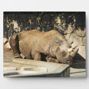 Sleeping Rhino Plaque