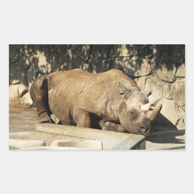 Sleeping Rhino Rectangular Sticker (Front)