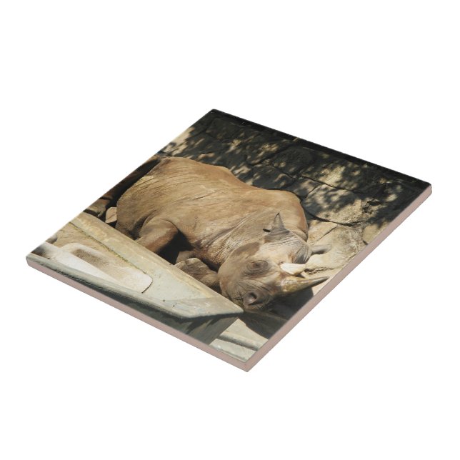 Sleeping Rhino Tile (Side)
