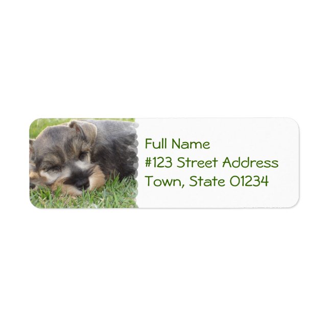 Sleeping Schnauzer Dog Mailing Label (Front)