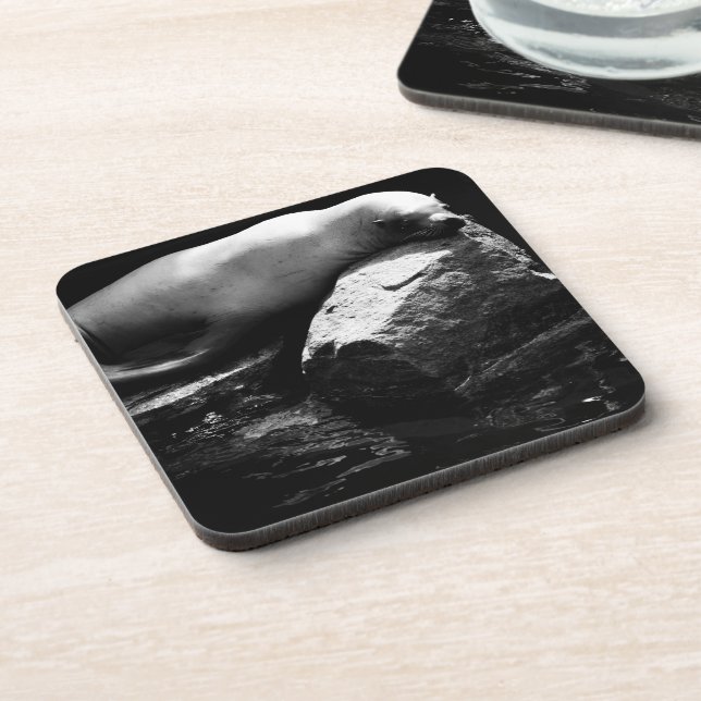 Sleeping Sea Lion .1781 Coaster (Left Side)