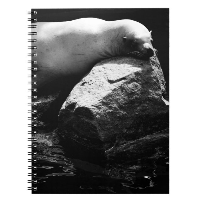 Sleeping Sea Lion .1781 Spiral Notebook (Front)