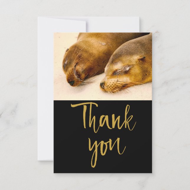 Sleeping Sea Lions Thank You Card (Front)