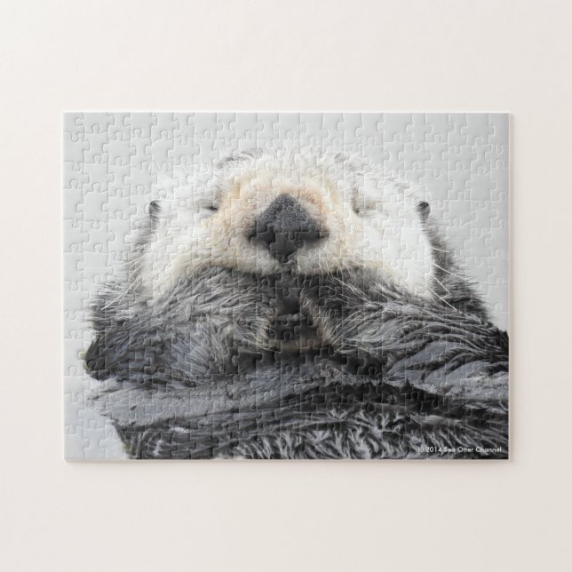 Sleeping Sea Otter Jigsaw Puzzle (Horizontal)