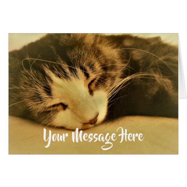 Sleeping Sepia Cat Napping (Front Horizontal)