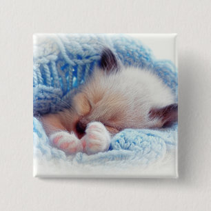Sleeping Siamese Kitten Paws 15 Cm Square Badge