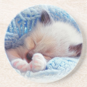 Sleeping Siamese Kitten Paws Coaster