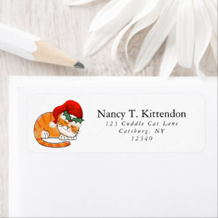 Sleeping Striped Orange Tabby Christmas Santa Cat 