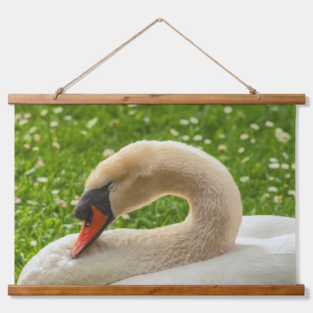 Sleeping Swan Hanging Tapestry (Front)