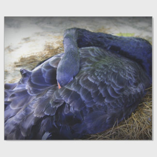 Sleeping Swan Wrapping Paper