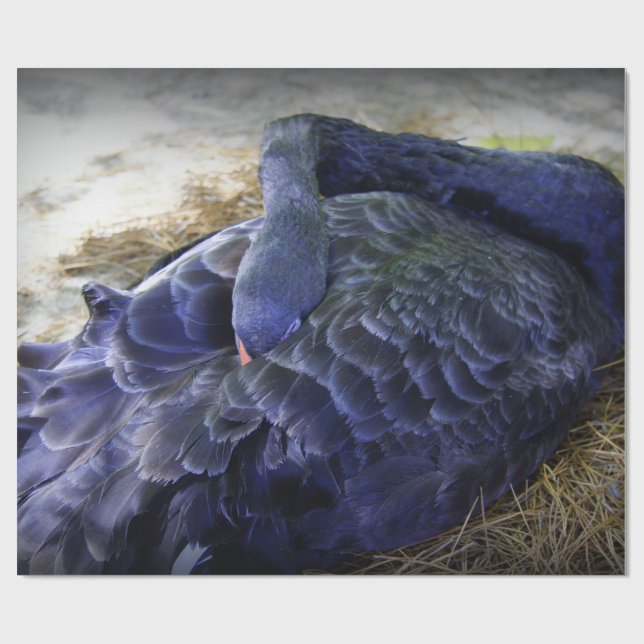 Sleeping Swan Wrapping Paper (Flat)