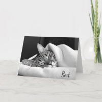 Sleeping Tabby Cat for Get Well Soon