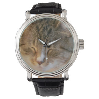 Sleeping Tabby Cat Watch