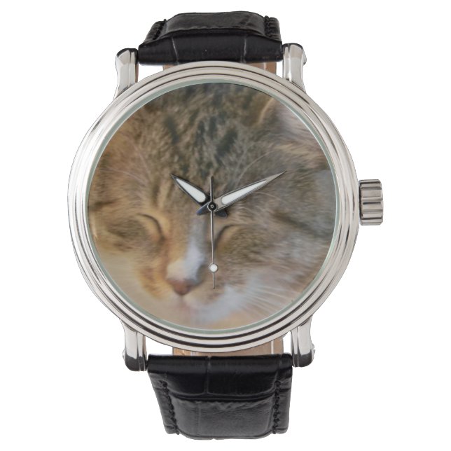 Sleeping Tabby Cat Watch (Front)
