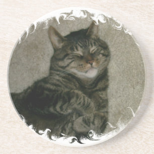 Sleeping Tabby Kitty Cat Coaster