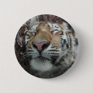 Sleeping Tiger 6 Cm Round Badge