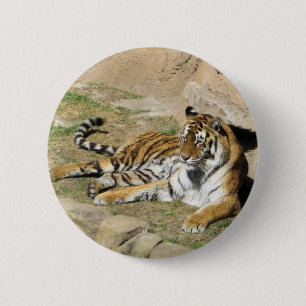 Sleeping Tiger 6 Cm Round Badge